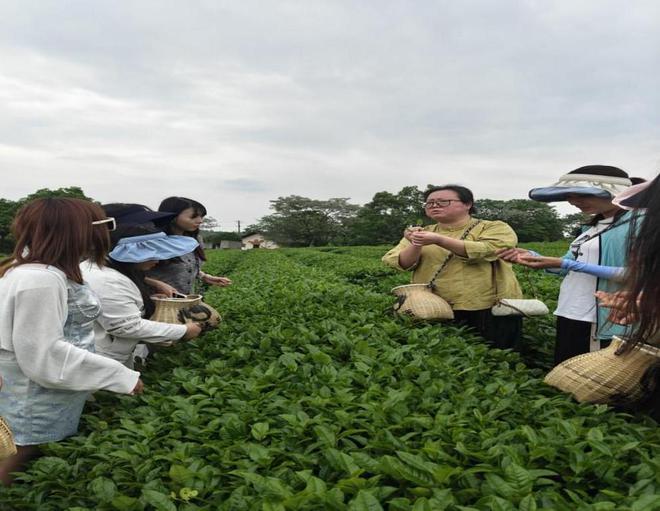 老师与企业导师在茶山上集体备课AG电玩国际湖南信息职院：茶艺(图2)